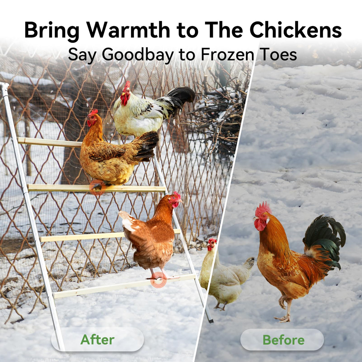 PETSFIT Square Chicken Roosting Perch, Perfect for Backyard Poultry, Chicken Perch for Coop, Easy to Assemble&Clean, Farm Chicken Toys (55" L x 40" W) Petsfit