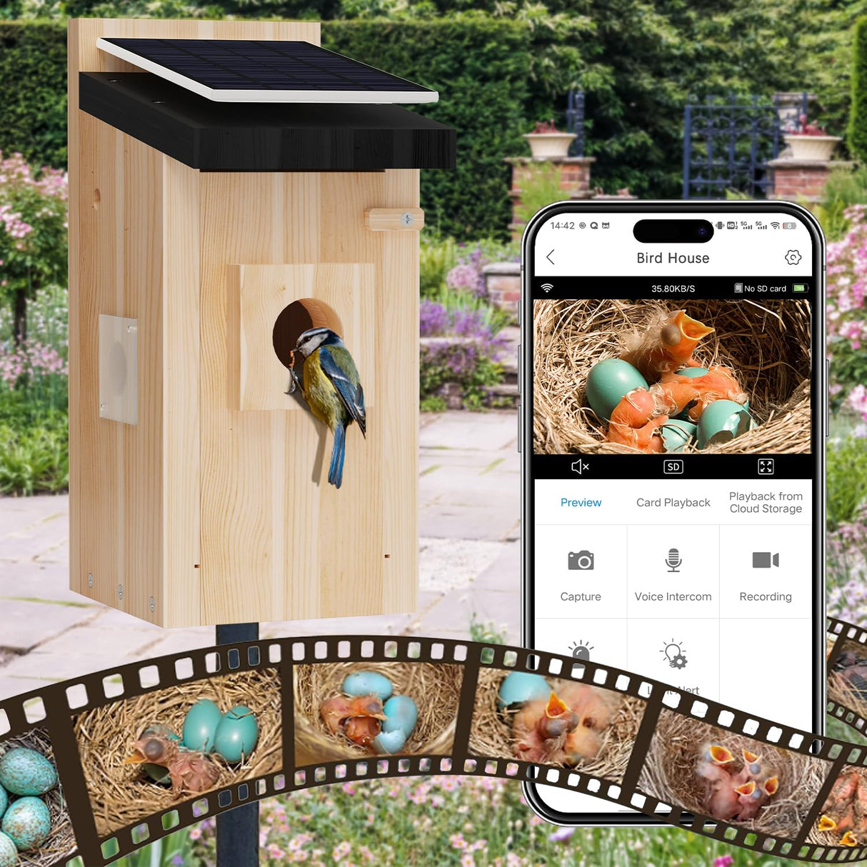 Bird House with Camera, 5MP Smart Birdhouse Camera with Solar Powered, Bird Box Camera for Families, Motion Detection & 32GB SD Card, Watch Bird Nesting & Hatching in Real Time, Ideal Gift for Friends Camii