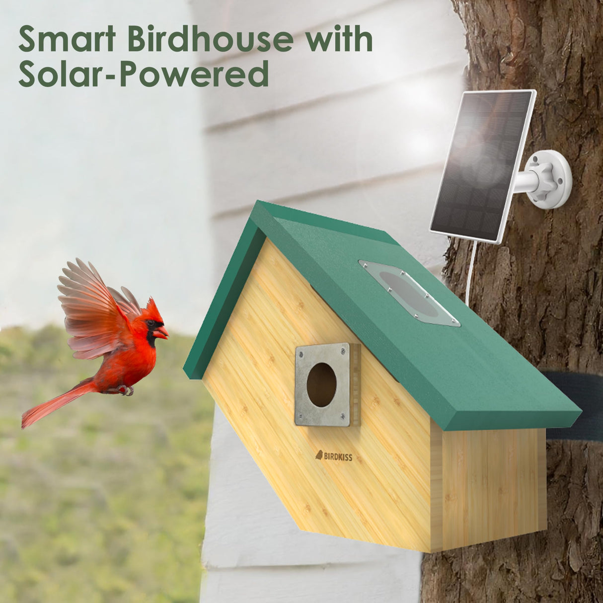 Birdkiss Smart Bird Houses for Outside Solar Powered, 1080P HD Live View Birdhouse with Camera, Perfect Viewing Bird Nesting and Hatching, Ideal Outdoors Bird House for Blue Bird and Cardinal (Green) Birdkiss