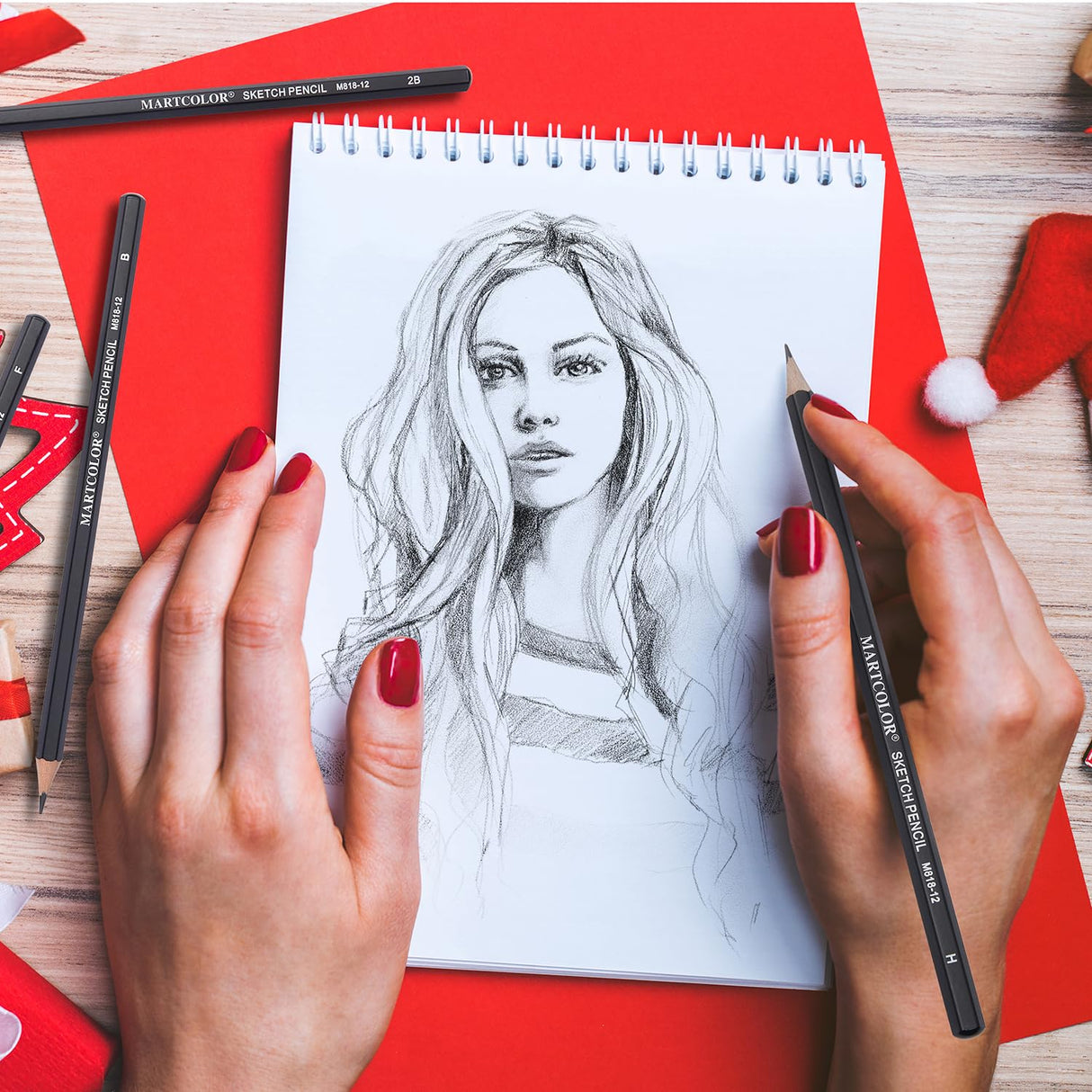 YUANCHENG Professional Drawing Sketching Pencil Set - 12 Pieces,Graphite,(14B - 2H), Graphite Pencils for Drawing, Shading Pencils for Sketching,Artist Pencils for Beginners,Drawing Art YUANCHENG