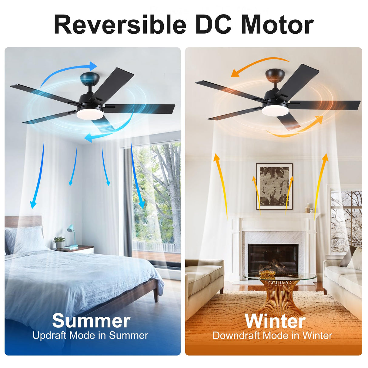 52 Inch Ceiling Fans with Lights and Remote, Black Ceiling Fan with 5 Blades, 6 Speed Reversible DC Motor, 3CCT Dimmable LED, Modern Design for Bedroom, Living room & Covered Outdoor,Includes Downrod Rayqueen