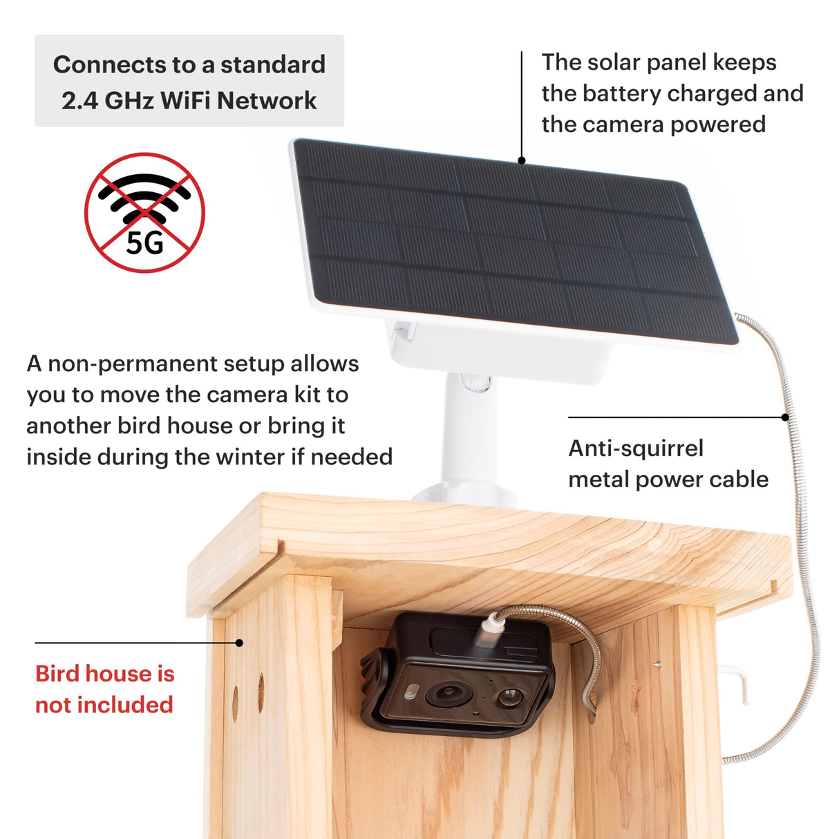 WHITEHORSE Bird House Camera - Wireless and Solar Powered - Take Photos and Videos from Your Phone (Free App) - Get Notified When a Bird is Detected - 32GB Memory Card Included WHITEHORSE