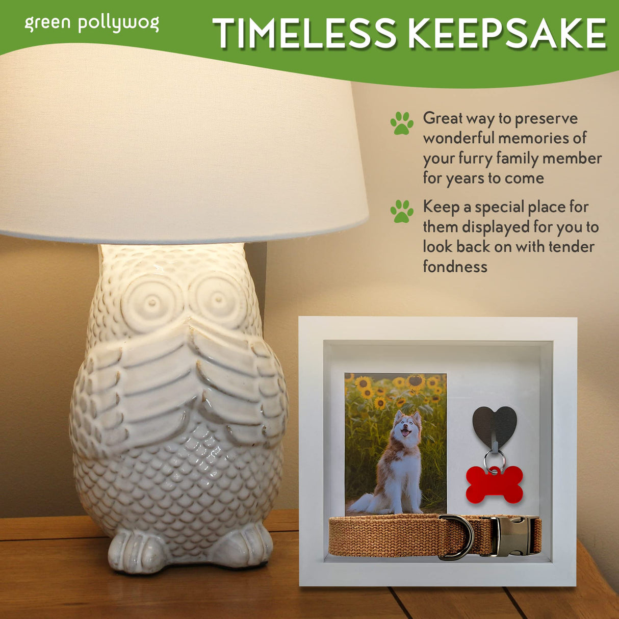 Green Pollywog Pet Memorial Shadowbox with Photo, Tag & Collar Display | White Frame with 4” x 6” Picture Opening | 10” x 10” x 2.5” Keepsake Box Green Pollywog
