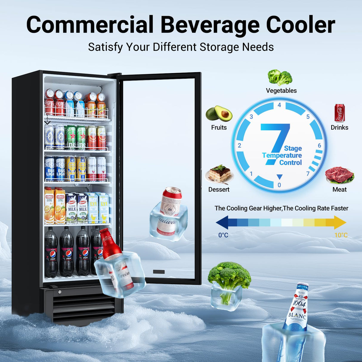 BODEGACOOLER Beverage Refrigerator and Cooler, 10.2 Cu.Ft Commercial Beverage Refrigerator, Commercial Merchandiser Refrigerator For Drinks, Commercial Display Refrigerator with Glass Door Fridge. BODEGA