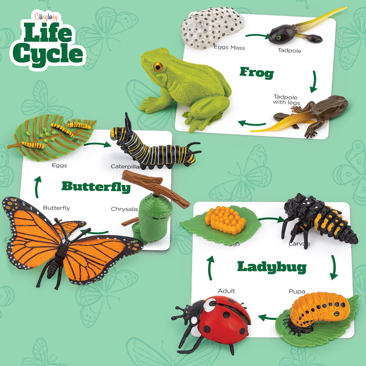 Life Cycle Animal Kit - 12-Piece Montessori Science Toy with Frog, Ladybug & Butterfly Figures. Matching Game & Educational Gift for Kids Ages 3 4 5 6 7 8 GLINGLONG