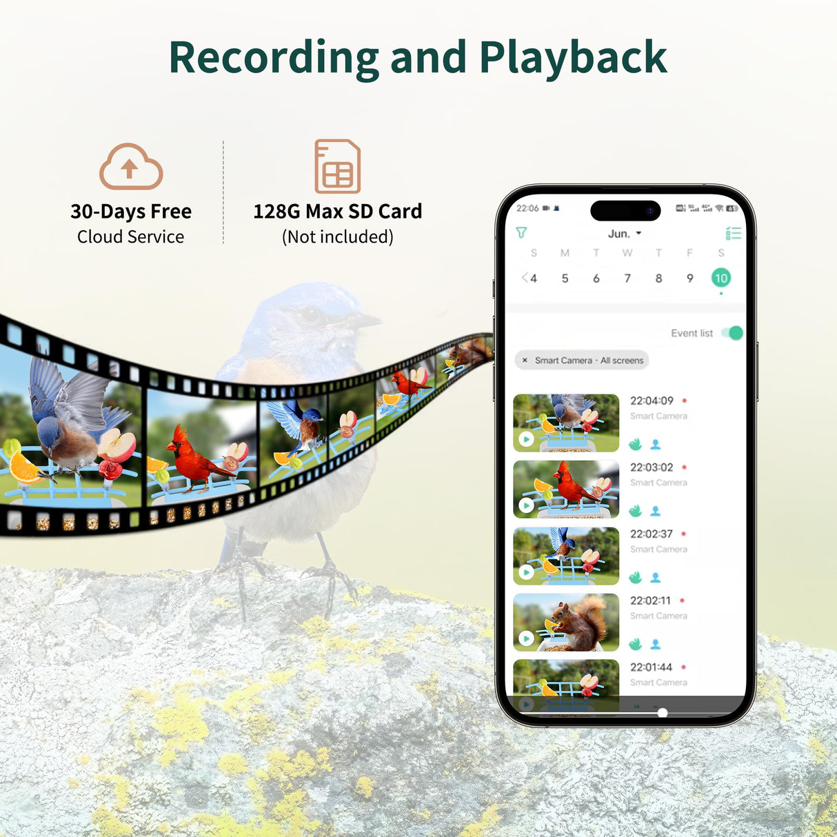 Twesync Smart Bird Feeder with Camera Solar Powered, 1080P HD AI Identify Wild Bird Feeder Camera Twesync
