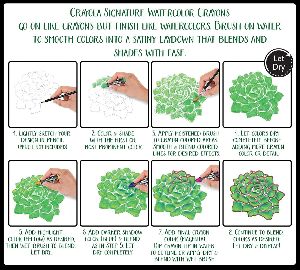 Crayola Signature Premium Watercolor Crayon Sticks & Paintbrush, 12 Count, Gift Crayola