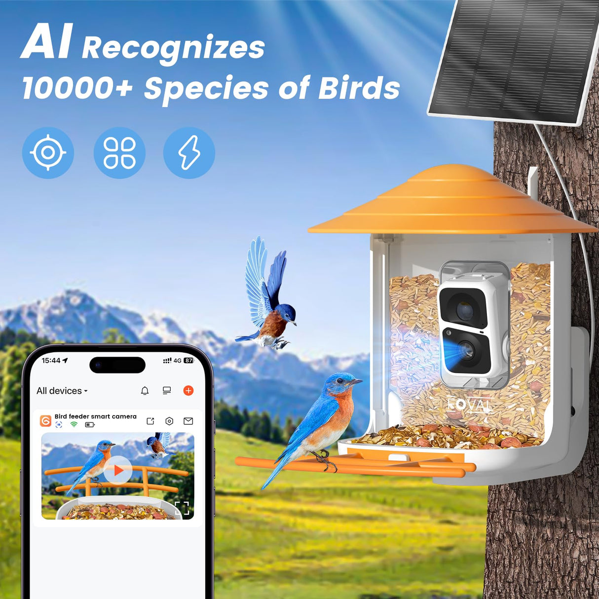 FOVAL Bird Feeder with Camera, Smart Bird Feeder Camera with AI Identify Bird Species, Auto Capture Bird Videos & AI Motion Detection, 5W Solar FOVAL