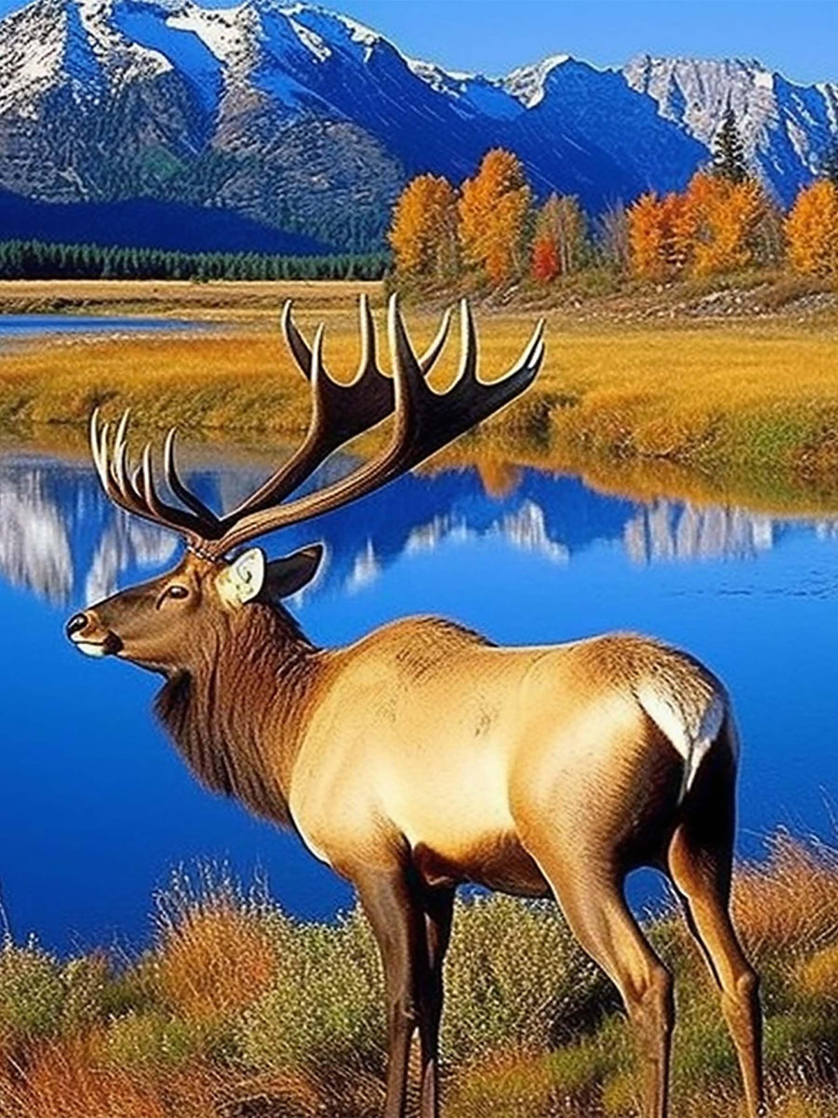 SKRYUIE DIY 5D Diamond Art Painting by Numbers Kits Animal, Diamond Art Elk Crystal Embroidery Cross Stitch Art Craft Wall Sticker Decoration Wall Decoration 30x40cm(12x16in) SKRYUIE