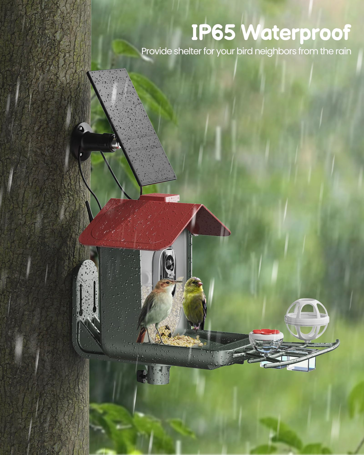 PEEIPM Bird Feeder with Camera Solar Smart Bird House with Camera Outdoor Garden Feeders for Bird Auto Capture Bird Videos Wild Birds Watching Cam 2K Resolution AI Recognition Visible Window PEEIPM