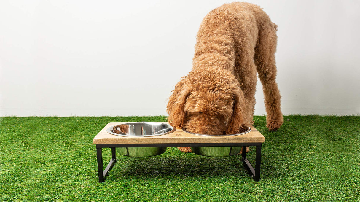 GF Pet Wood & Metal Feeder | Premium Mango Wood & Stainless Steel Dog Bowls Set | Elevated Food & Water Bowls for Dogs & Cats | Comfortable Raised Bowl Sets for Pets - Medium/24oz Brave Bark