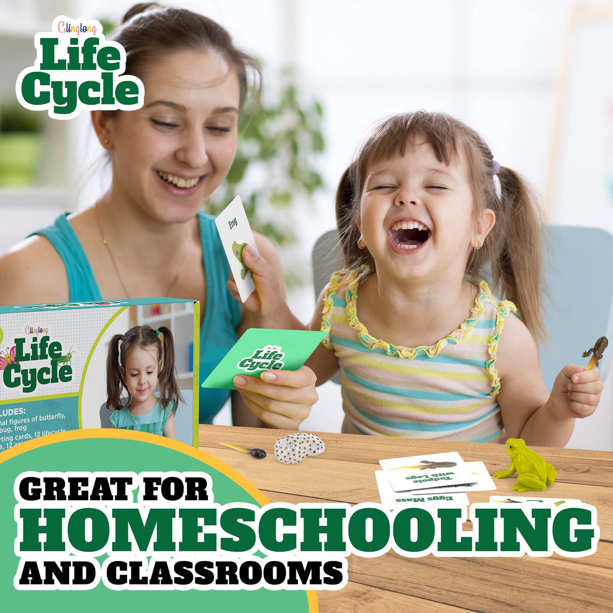 Life Cycle Animal Kit - 12-Piece Montessori Science Toy with Frog, Ladybug & Butterfly Figures. Matching Game & Educational Gift for Kids Ages 3 4 5 6 7 8 GLINGLONG