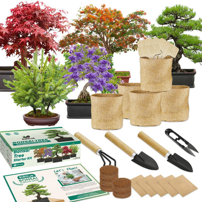 RiRifue Bonsai Tree Seed Starter Kit, with 4 Pcs Mini Garden Bonsai Tool Kit, 5 Tree Seeds Variety Pack for Planting, Creative Gardening Gifts for Plant Lovers Women Men Kid