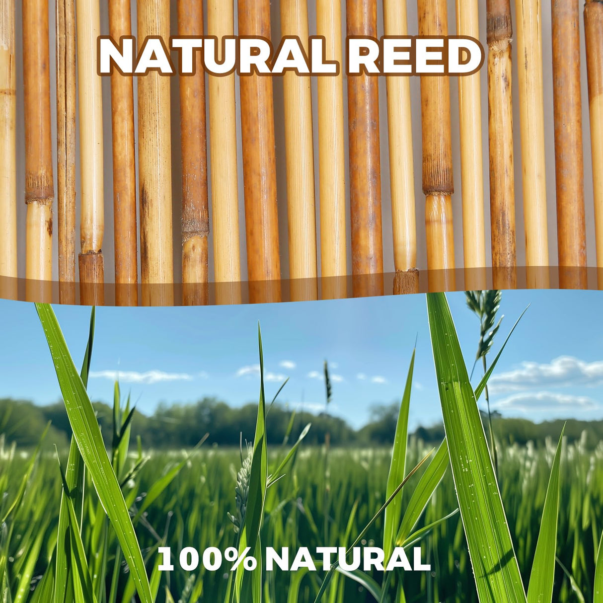 CSBWDLT Natural Reed Fencing, Eco-Friendly Reed Fence, 4 feet High x 13.1 feet Long, Reed Screen for Backyard Patio Garden and More,Brown CSBWDLT