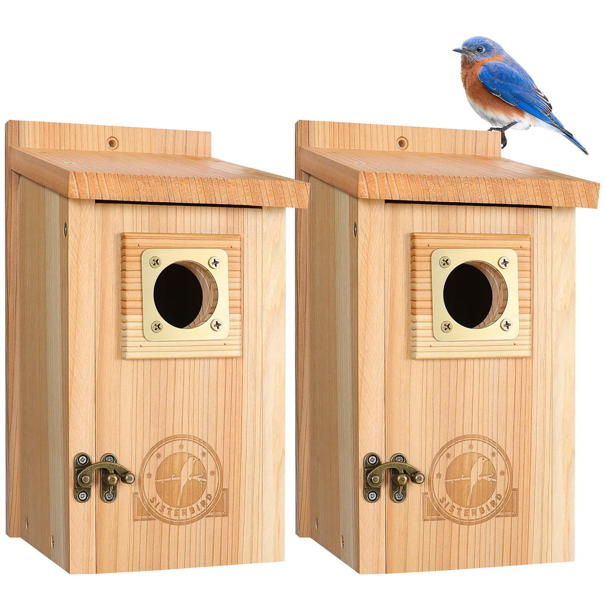 SISTERBIRD 2 Pack Bird Houses for Outside Clearance with Copper Guard, Cedar Bird House Outdoor, Bluebird Finch Swallow Wren Chickadee Assembly Required SISTERBIRD