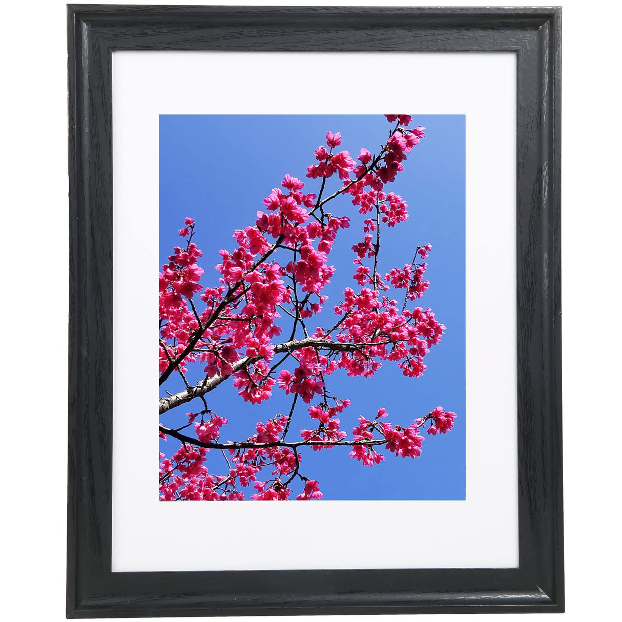 11x14 Wood Picture Frame Back, Display Pictures 8x10 with Mat or 11x14 Without Mat, Arc Ultra Edge Wooden Poster Picture Frames,11x14,Wood,Black,1 Pack Medog