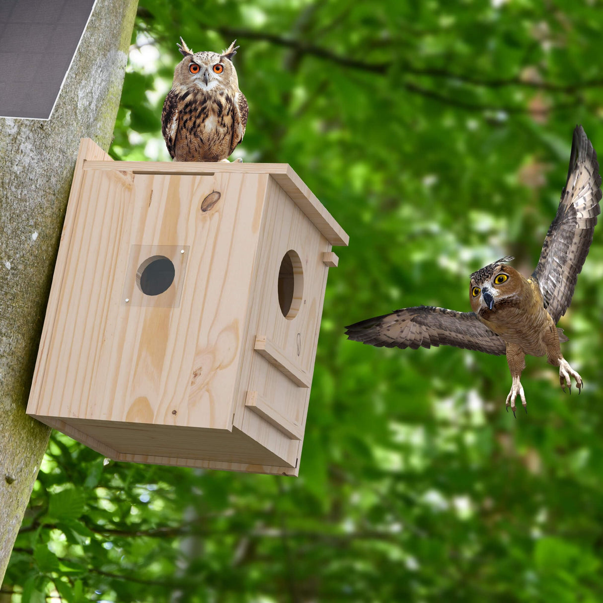 Solar-Powered Smart Owl House with Camera - Outdoor Hanging Wooden Nesting Box, Real-Time View & Motion Detection, for Garden for 2.4g WiFi Coverage Area, for Owl Lovers WISDOMRAINBOW
