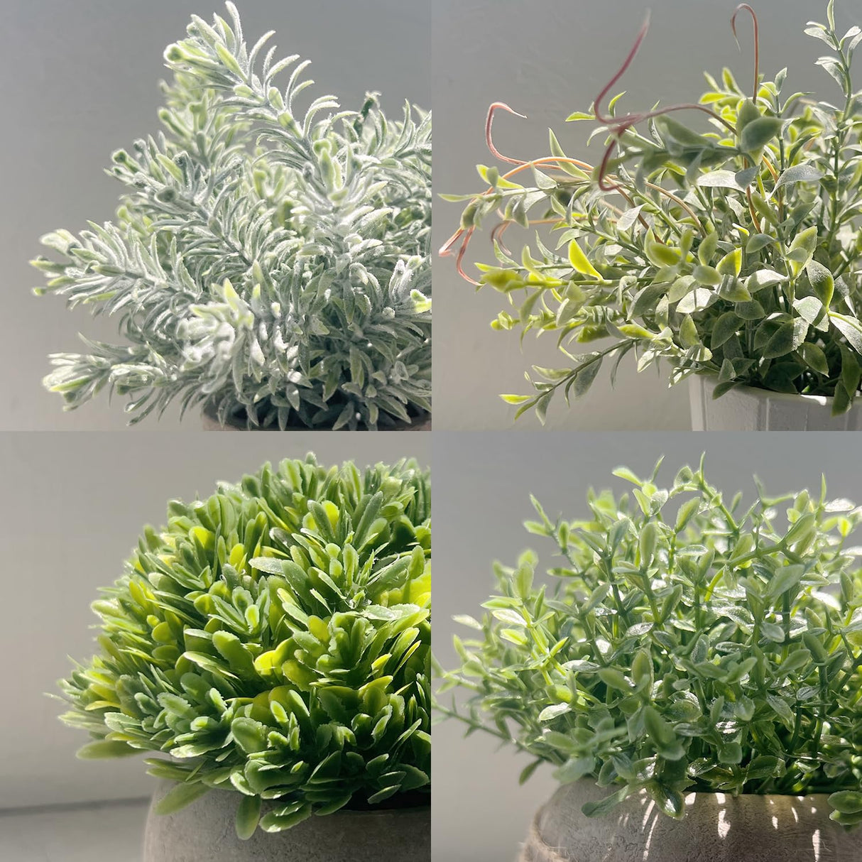 PENGYEE 4 Pack Small Fake Plants, Artificial Plants Indoor for Home Decor, Small Faux Plants Indoor, Fake Plants in White Pot for Bathroom Bedroom Kitchen Office Farmhouse Room Shelf Decor PENGYEE