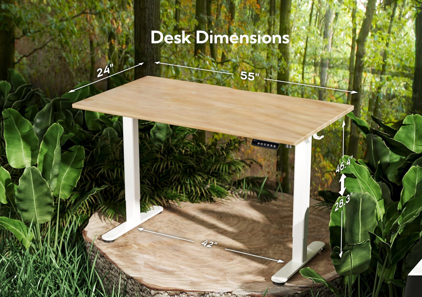 INNOVAR Solid Wood Electric Standing Desk, 55x24 Inches Adjustable Height Stand up Desk with Whole Piece Desktop, Sit Stand Home Office Desk White Frame/Nature Top