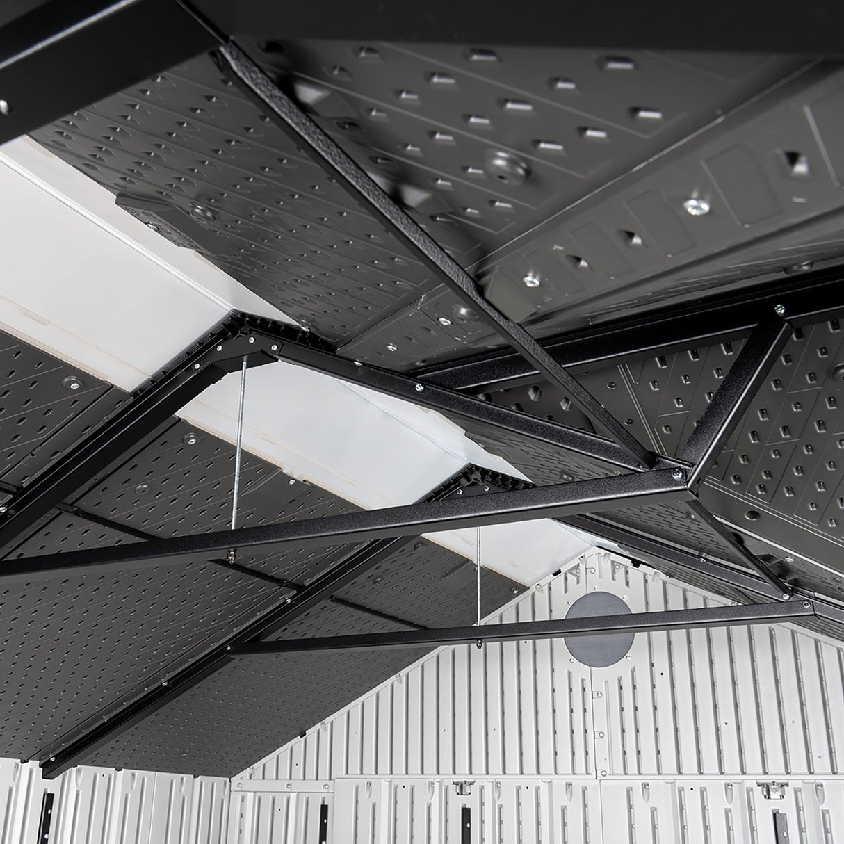 Lifetime Dual Entry Outdoor Storage Shed, 10 x 8 Foot Lifetime