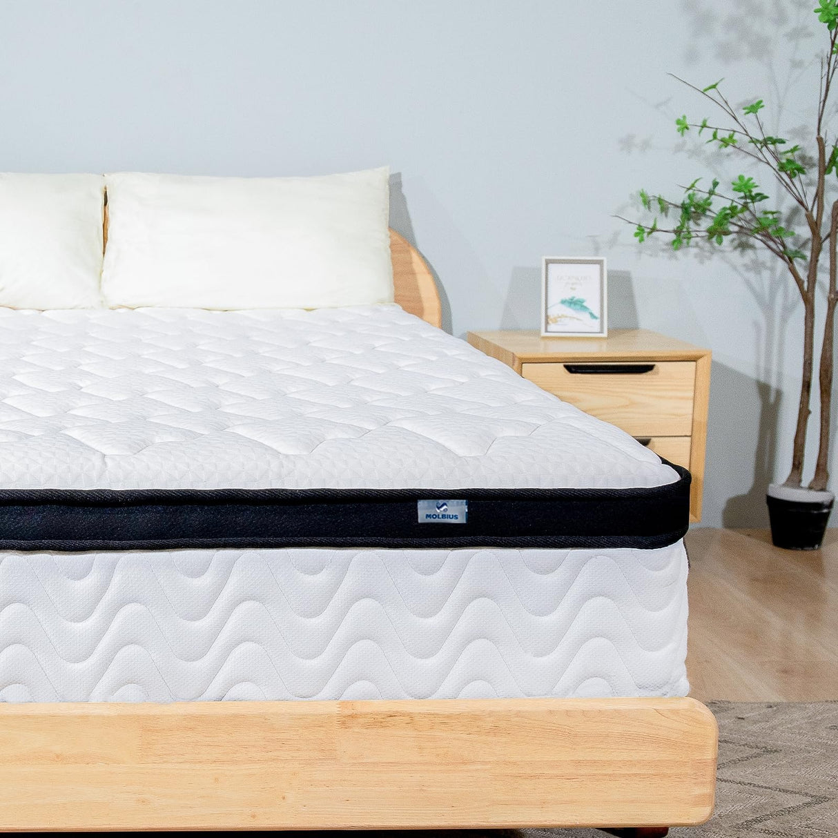MOLBIUS King Size Mattress | 12 Inch Hybrid Mattresses King in a Box | Medium Firm Memory Foam and Individual Pocket Springs | Fiberglass Free Bed Matress | Breathable | CertiPUR-US MOLBIUS