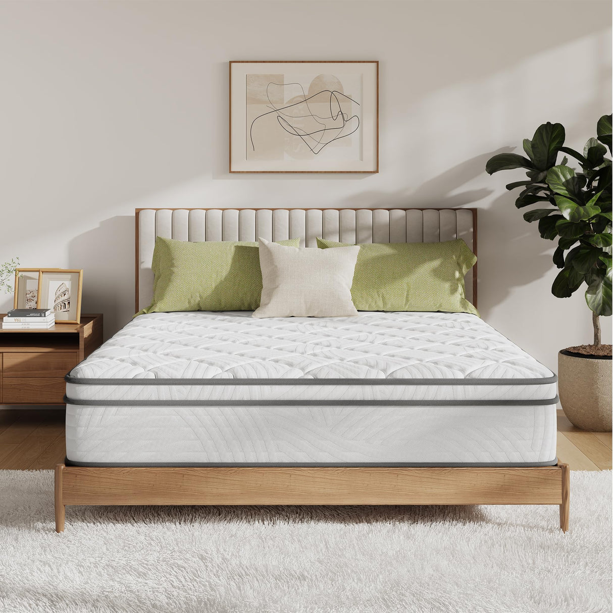 Novilla Queen Mattress, 14 Inch Queen Size Mattress in a Box, Queen Hybrid Mattress for Back Pain Relief & Support, Spring Mattresses with Motion Isolation & Pillow Top, Certipur-Us Certified Novilla