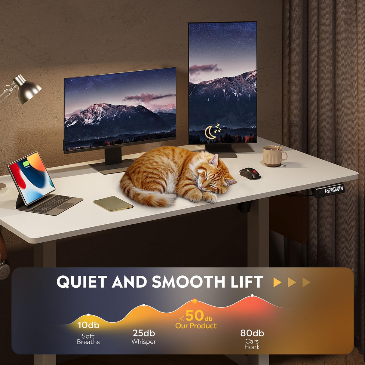 DEVAISE 48 X 24 Inches Electric Standing Desk,Height Adjustable Stand up Desk for Home Office, Ergonomic Sit to Stand Desk with Phone Holder,White DEVAISE