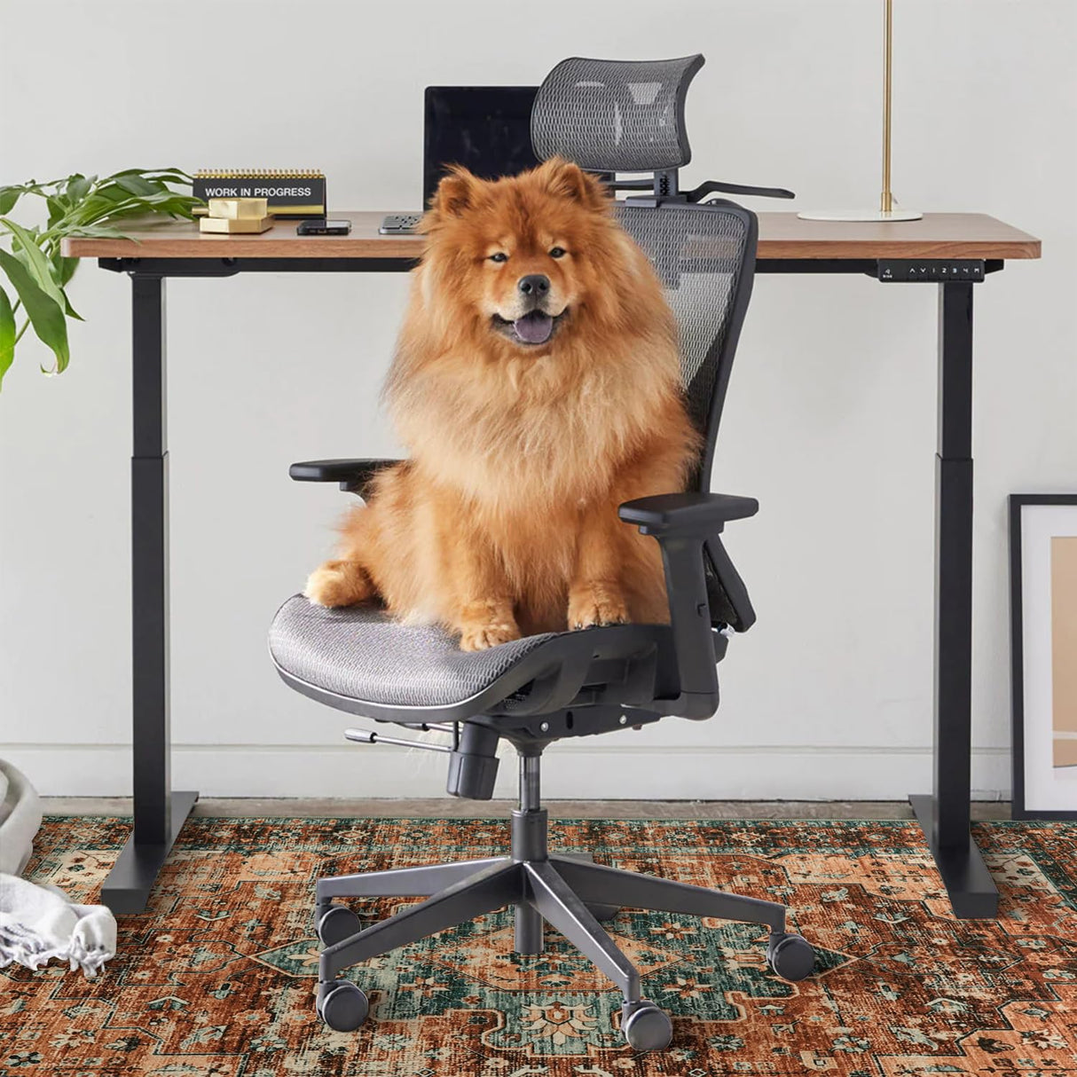 Anidaroel 48"x60" Chair Mat for Hardwood Floor/Tile Floor, Desk Chair Mat for Hard Floors, Under Desk Rug Protector for Rolling Chair, Computer Gaming Chair Mat, Low Pile Carpet Floor Mat Anidaroel