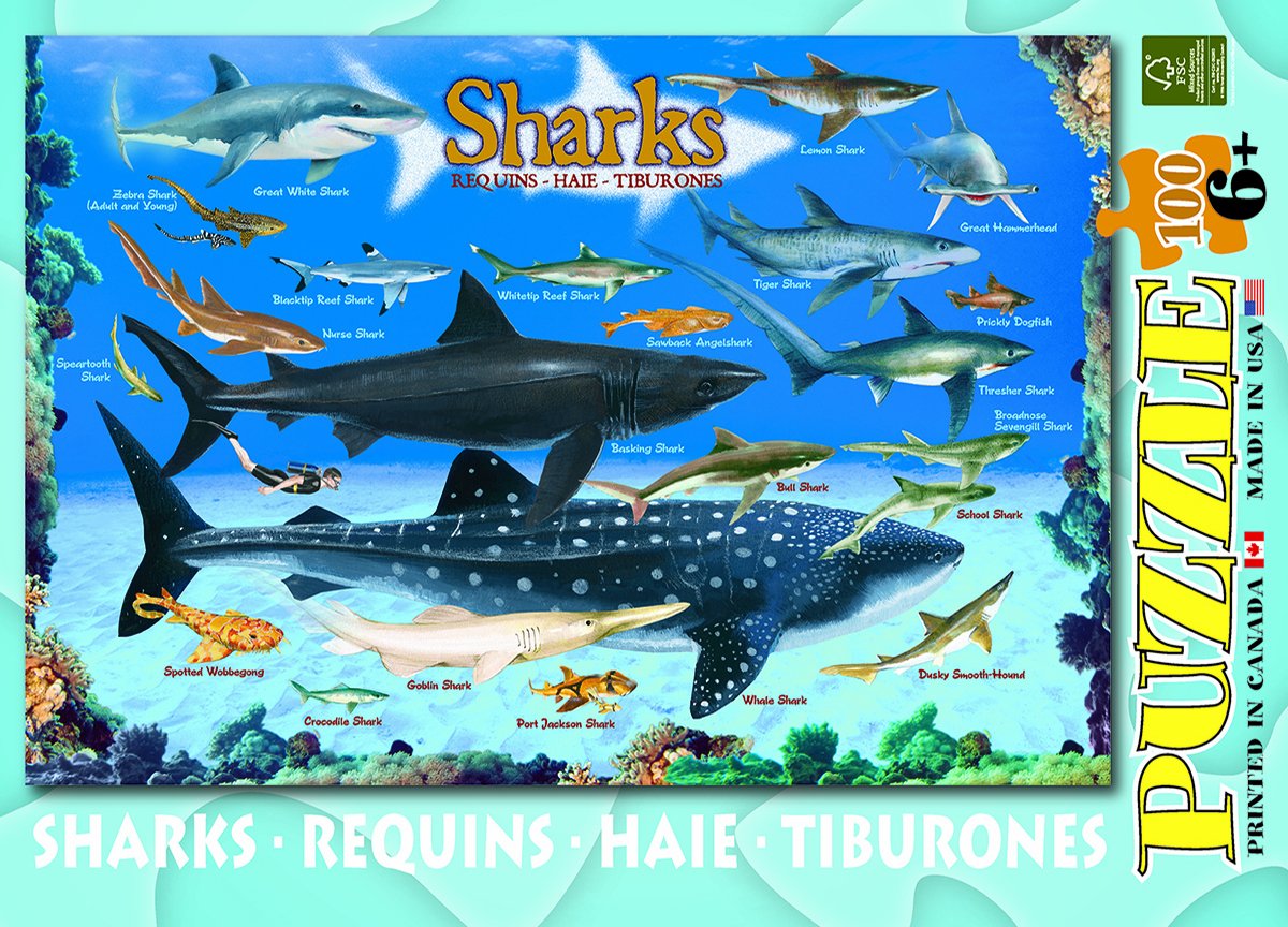 Sharks 100 Piece Jigsaw Puzzle EuroGraphics