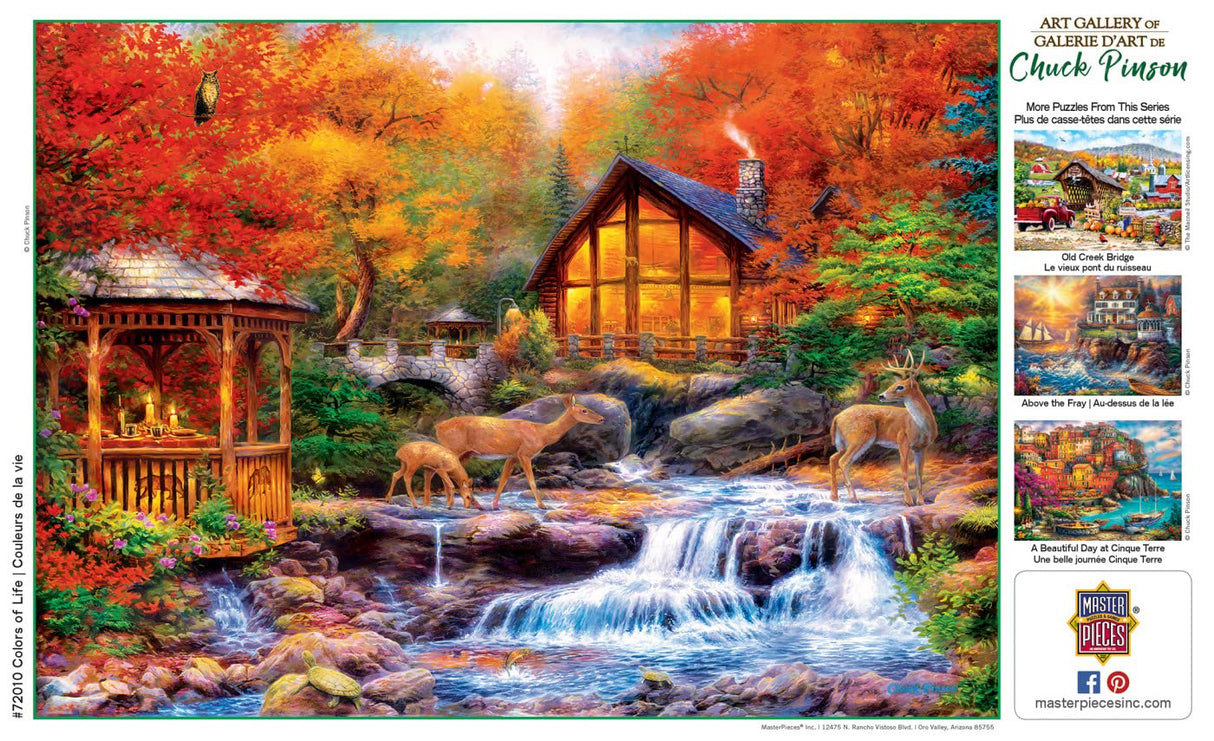 MasterPieces 1000 Piece Jigsaw Puzzle for Adults, Family, Or Youth - Colors of Life - 19.25"x26.75" Masterpieces