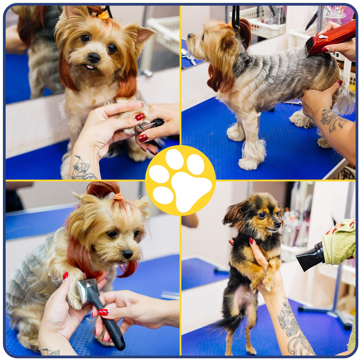 LOVMOR 36 Inch Dog Grooming Table,Adjustable Home Pet Grooming Tables with Arm/Noose/Mesh Tray LOVMOR