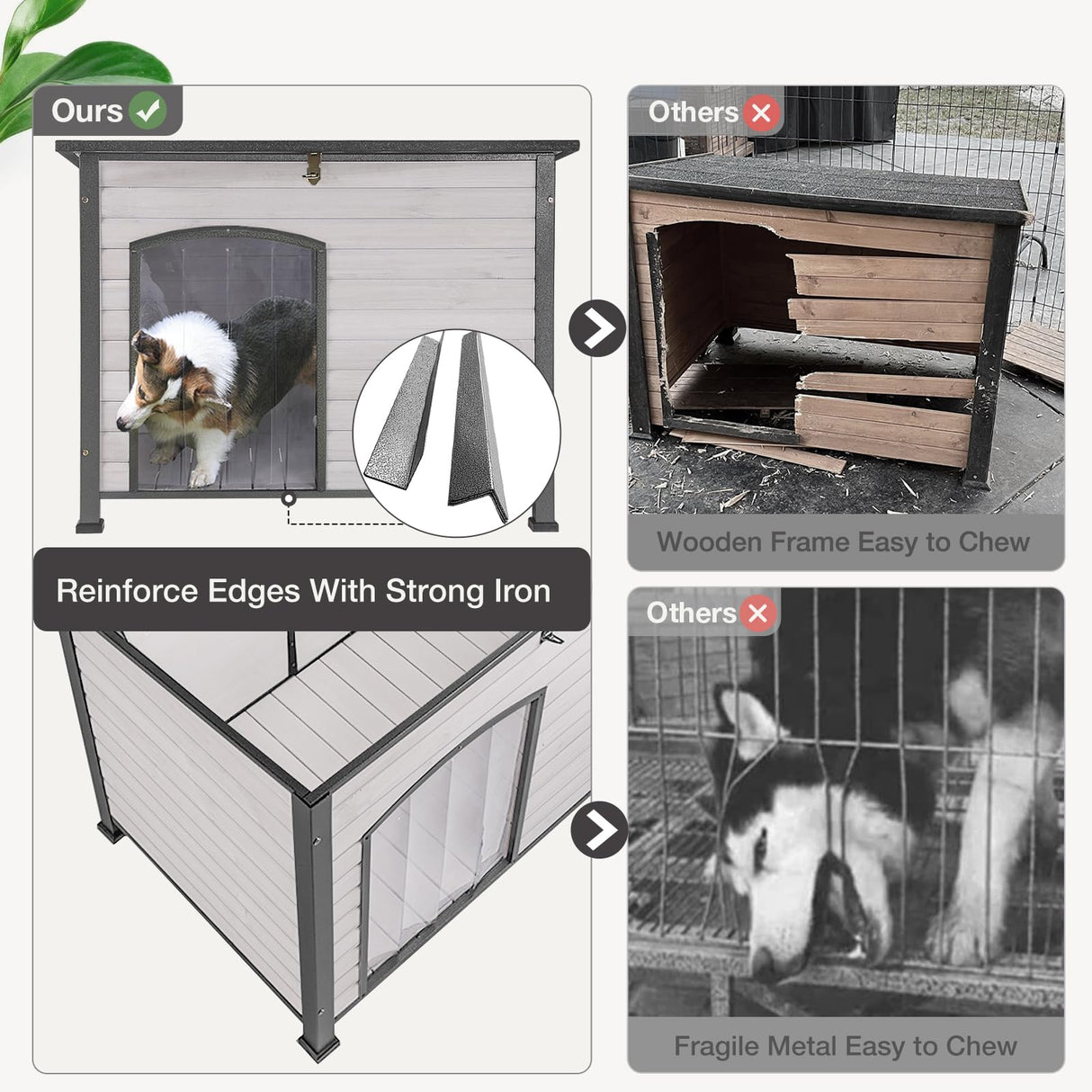 Dog House Outdoor Insulated Dog House for Small Medium Large Dogs, Natural Wood with Iron Frame, Waterproof Roof Raised Feet (43.3" L-White) MEDEHOO