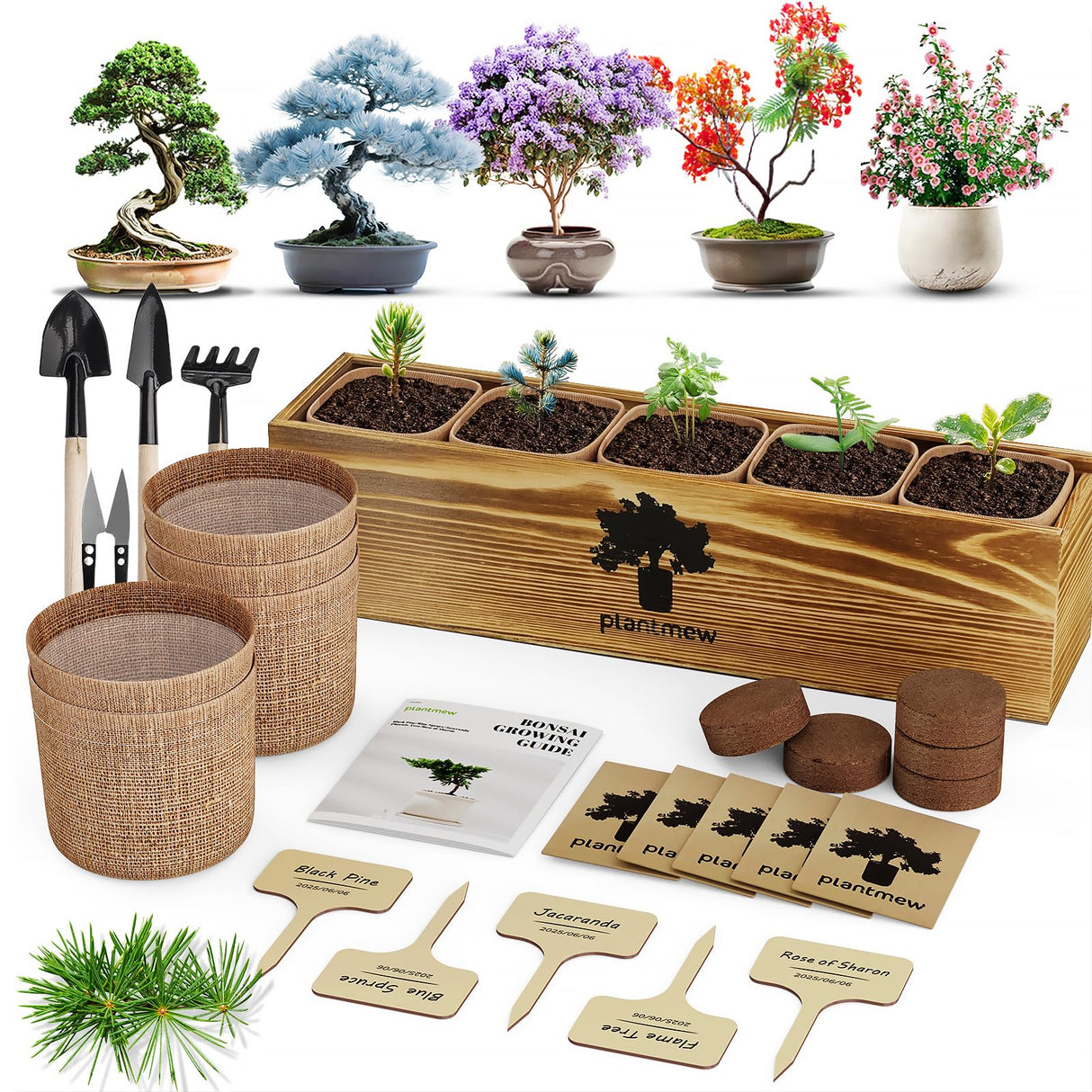 Bonsai Tree Kit – 5Pack Complete Indoor Starter Kit with 5 Unique Japanese Bonsai Trees, Tools & Planters – Perfect Gardening Gift for Women, Men, Plant Lovers – Great for Easter, Father’s Day PLANTMEW