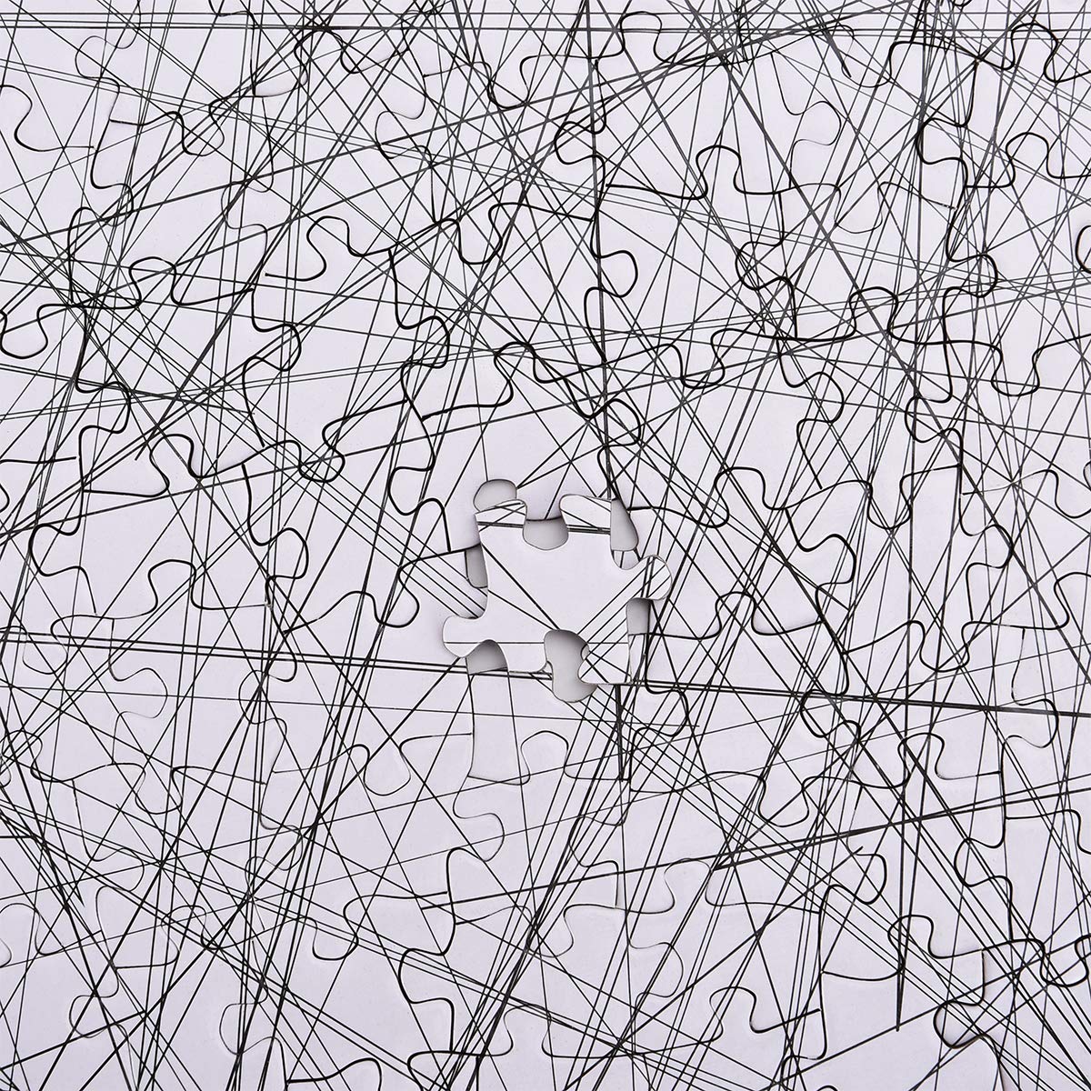 Bgraamiens Puzzle-The Lines -1000 Pieces Black and White Simple Fashion Challenge Blue Board Jigsaw Puzzles Bgraamiens