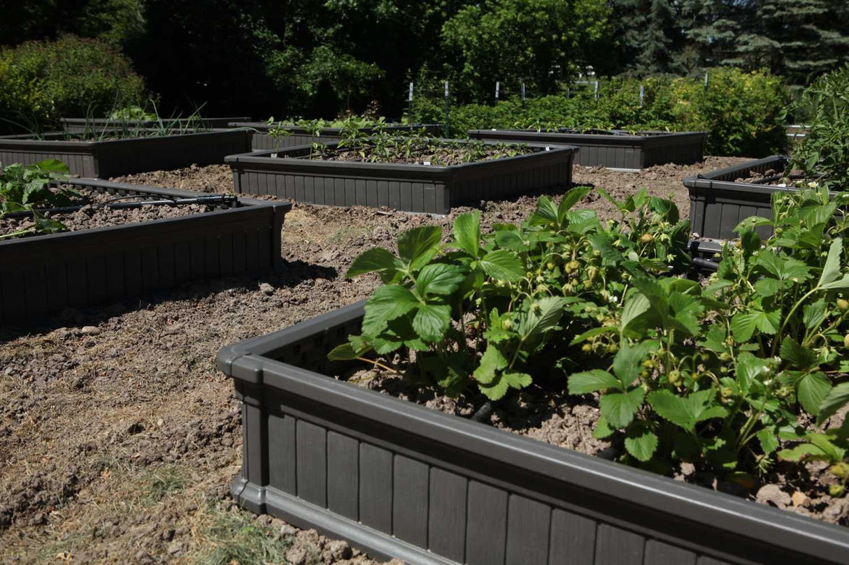 Lifetime 60065 Raised Garden Bed, 4 by 4 Feet, 1 Bed Lifetime