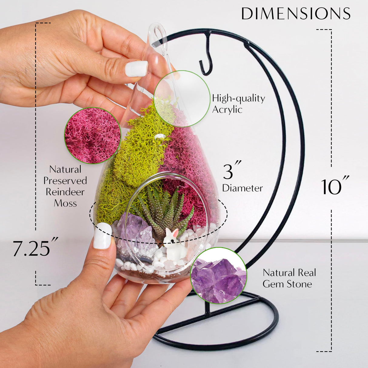 Creations by Nathalie - Plant Terrarium Kit W/Live Succulent (Fresh from Florida), Choose Your Glass DIY Terrarium Starter Kit for Adults, Metal Stand, Reindeer Moss, Crystal & Rocks, Tools, Figurine Creations by Nathalie