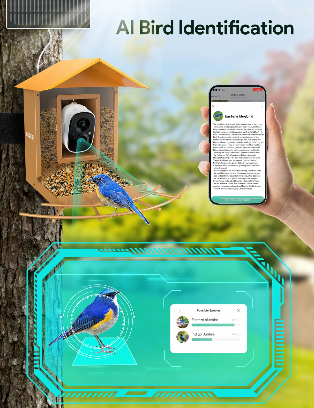 Osoeri Bird Feeder with Camera, Smart Bird Feeder Camera with 1080P HD AI Identify, Metal Bird Feeder Auto Capture Bird Videos & Motion Detection, Ideal Gift for Bird Lovers Osoeri