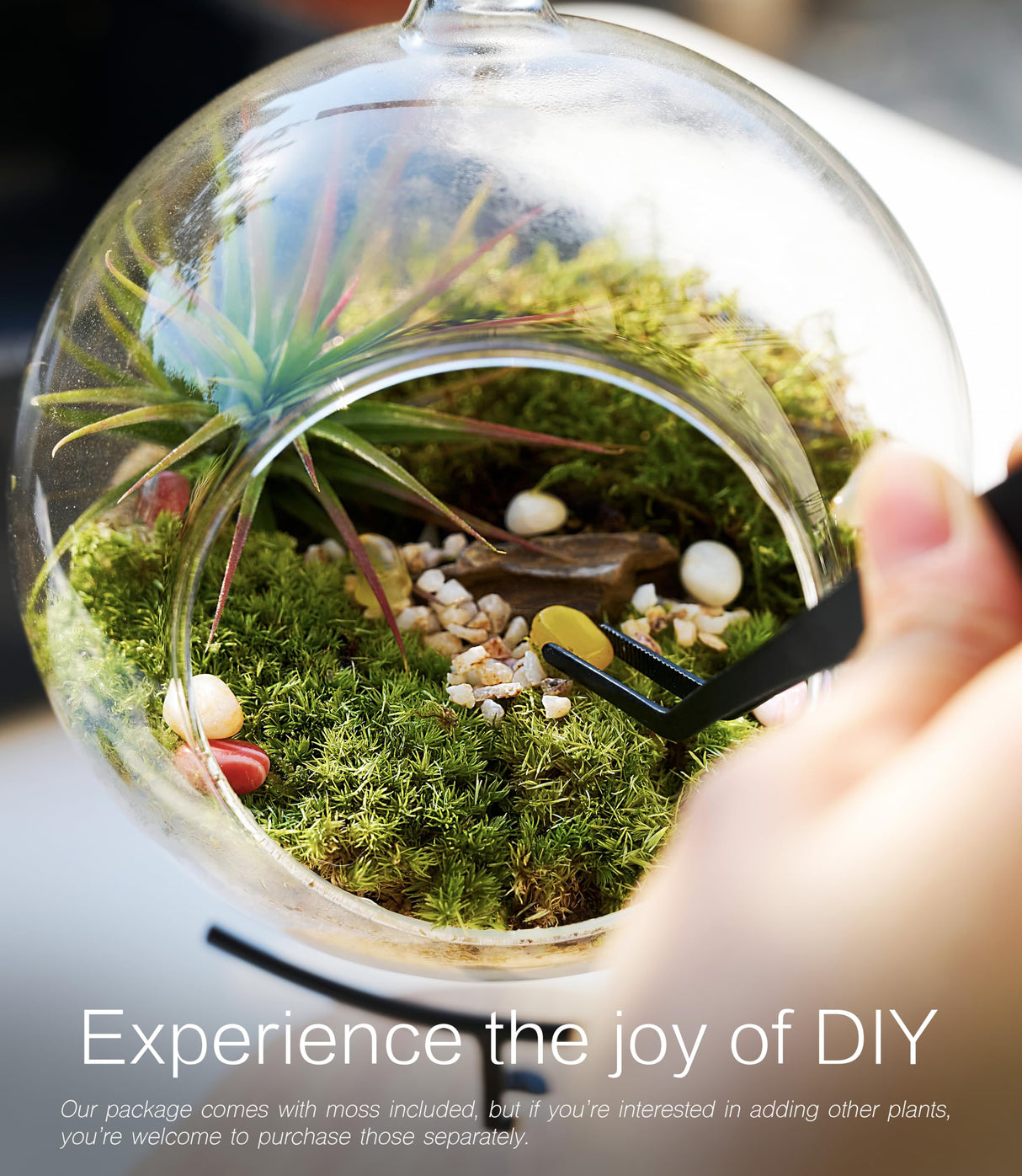 15-Piece Terrarium Kit with Live Moss – DIY Glass Globe Set with Tools, Soil, Stones & Spray Bottle – Indoor Mini Garden Gift for Plant Lovers, Home Decor & Zen Craft LUCKYRUNES