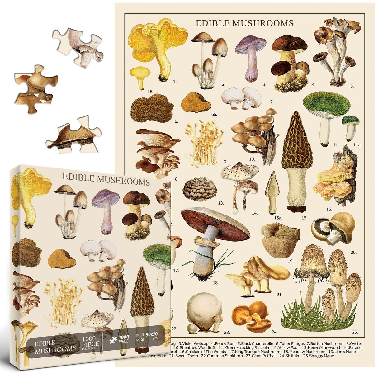Vintage Mushroom Puzzle 1000 Pieces for Adult, Vintage Fungi Jigsaw Puzzle of 25 Edible Mushrooms, Champignons Plant Puzzle for Mycophile BBOLDIN