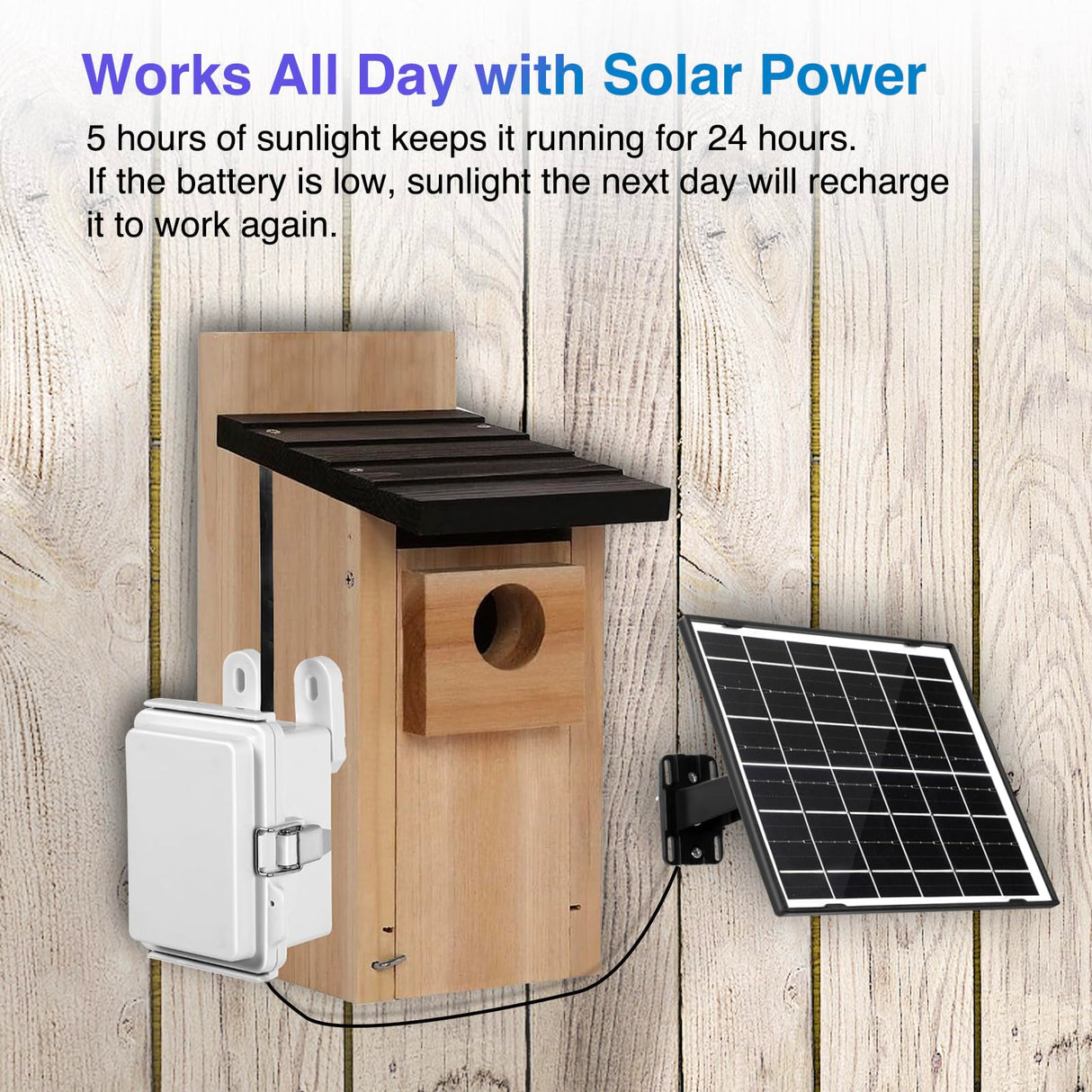 WIWACAM Solar WiFi Birdhouse Camera, 10000mAh Battery, 4K Ultra HD, for Bird Box birdhouses, for Robins Wrens Tree Swallows, Live Video to Phone, Easy Install, Night Mode, microSD Card Slot WIWACAM