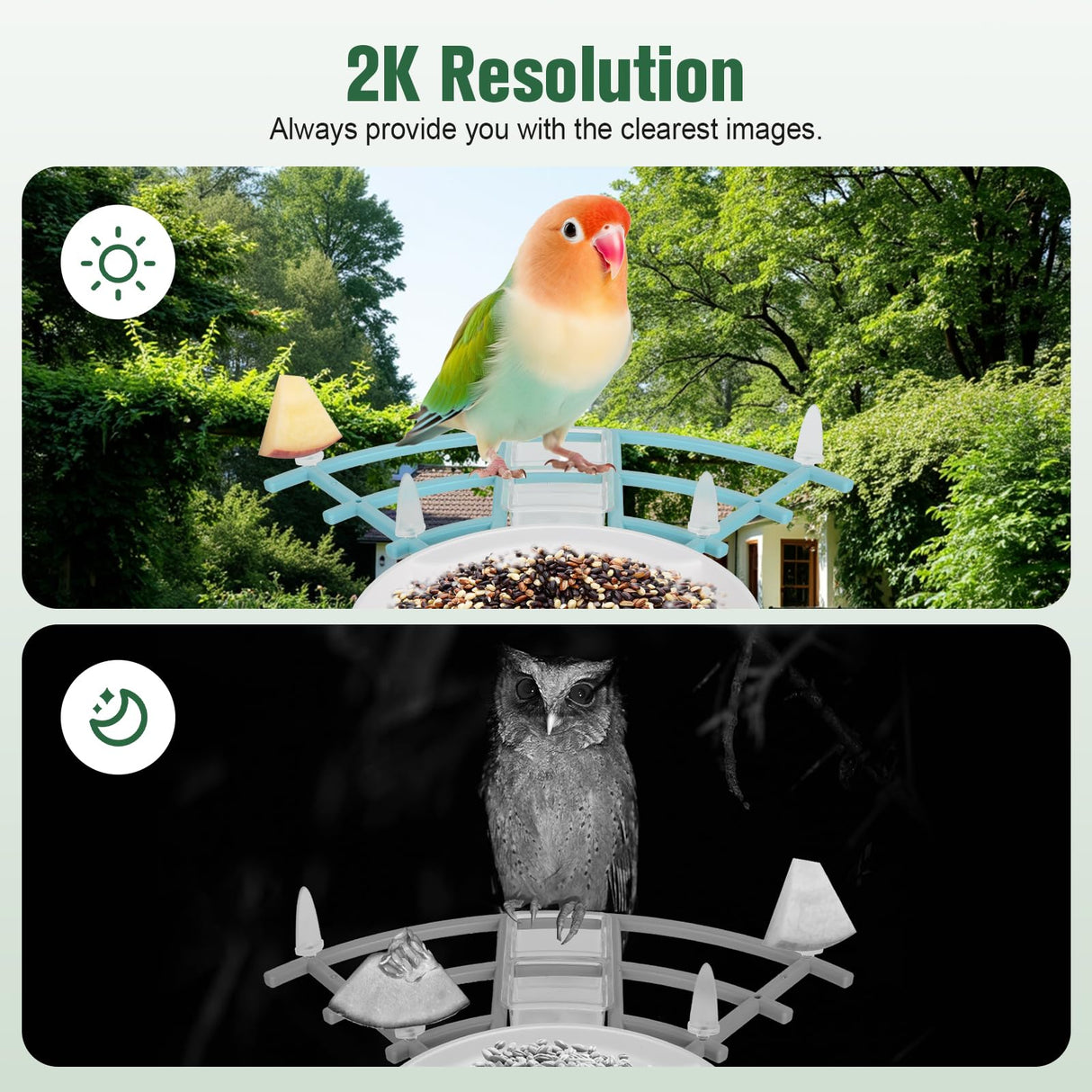 Bird Feeder with Camera,AI Identify Birds Species,Solar Powered,Auto Record Videos in Backyard,Instant Notifications,Ideal Gift for Family and Bird Lovers ANMESC