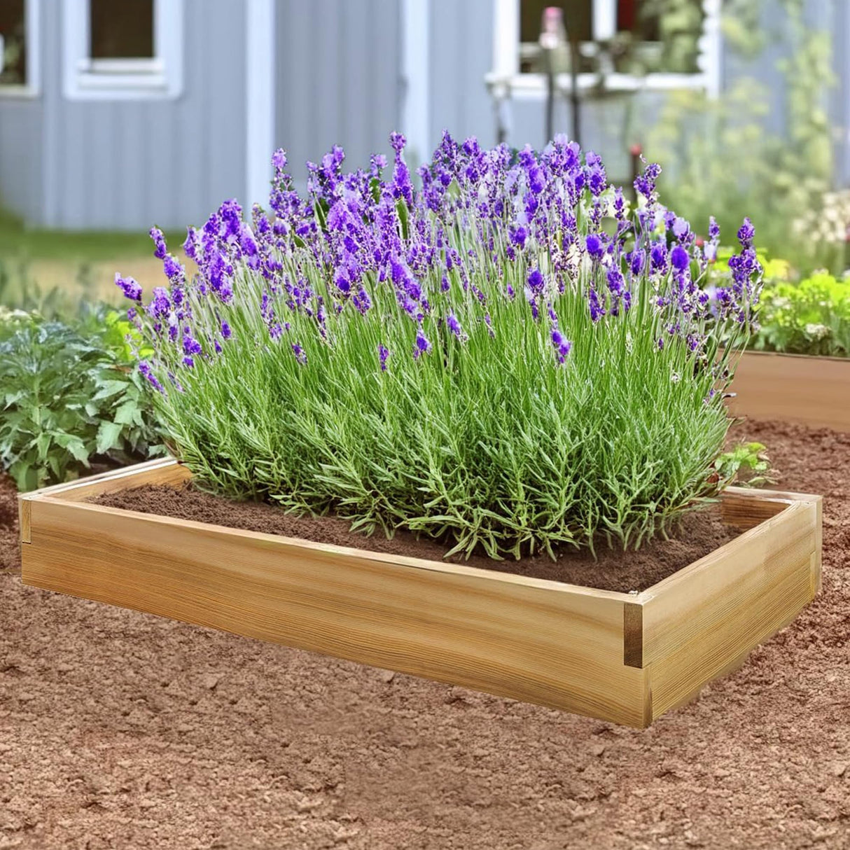 All Things Cedar 4-ft X 2-ft Raised Garden Planter Bed, Western Red Cedar Build All Things Cedar