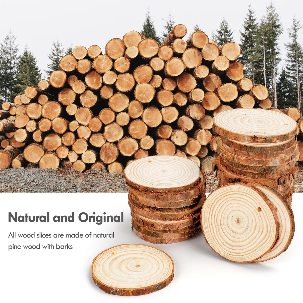 54Pcs Wood Slices, LOOFORE 2.4"-2.8" Unfinished Natural Wood Rounds with Pre-drilled Hole, Wood Slices for Wood Burning Painting DIY Crafts Christmas Ornaments Party Wedding Decor LOOFORE