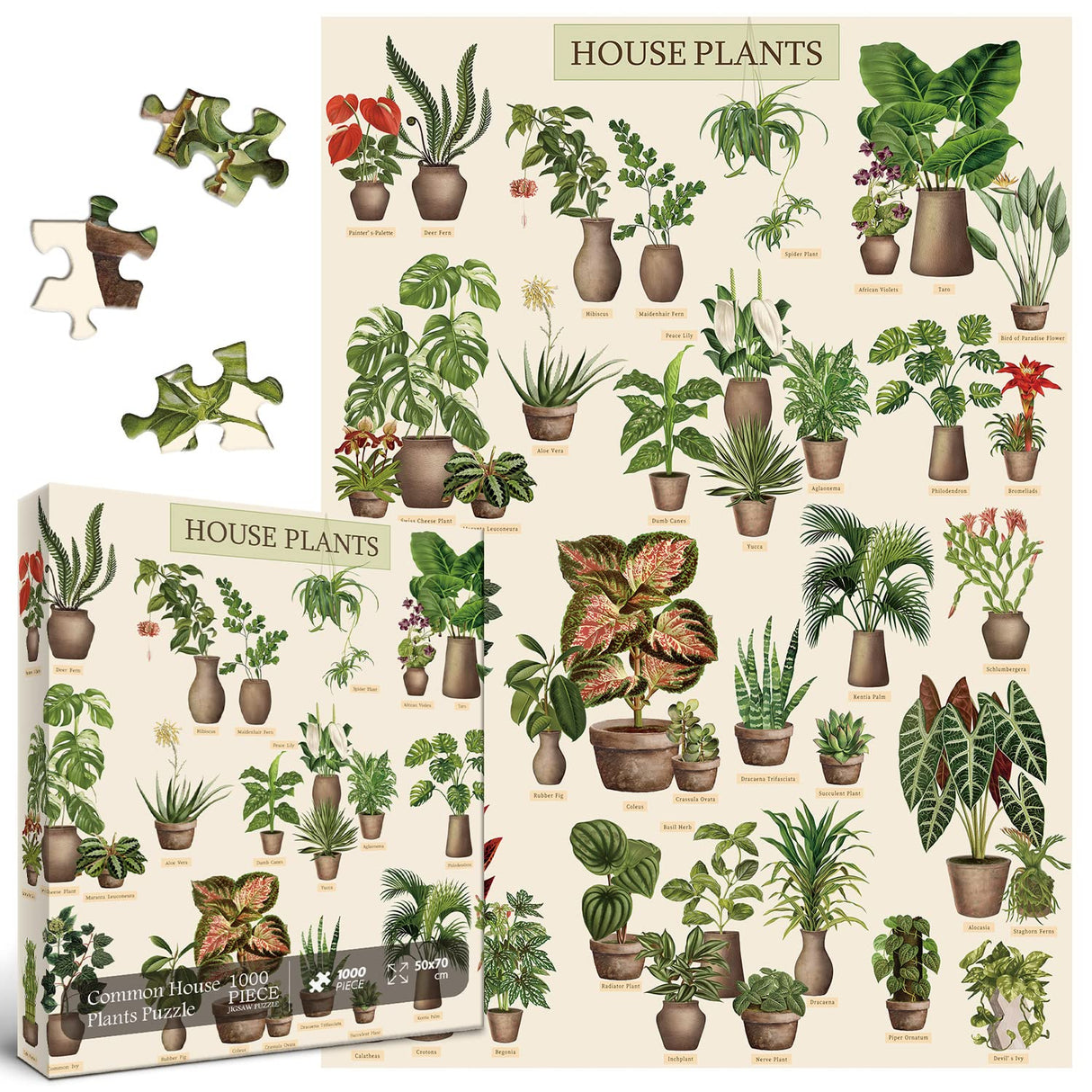 Vintage Houseplant Puzzle 1000 Pieces for Adult, Botany Succulent House Plant Puzzle, 39 Common Indoor Plants Jigsaw Puzzles BBOLDIN