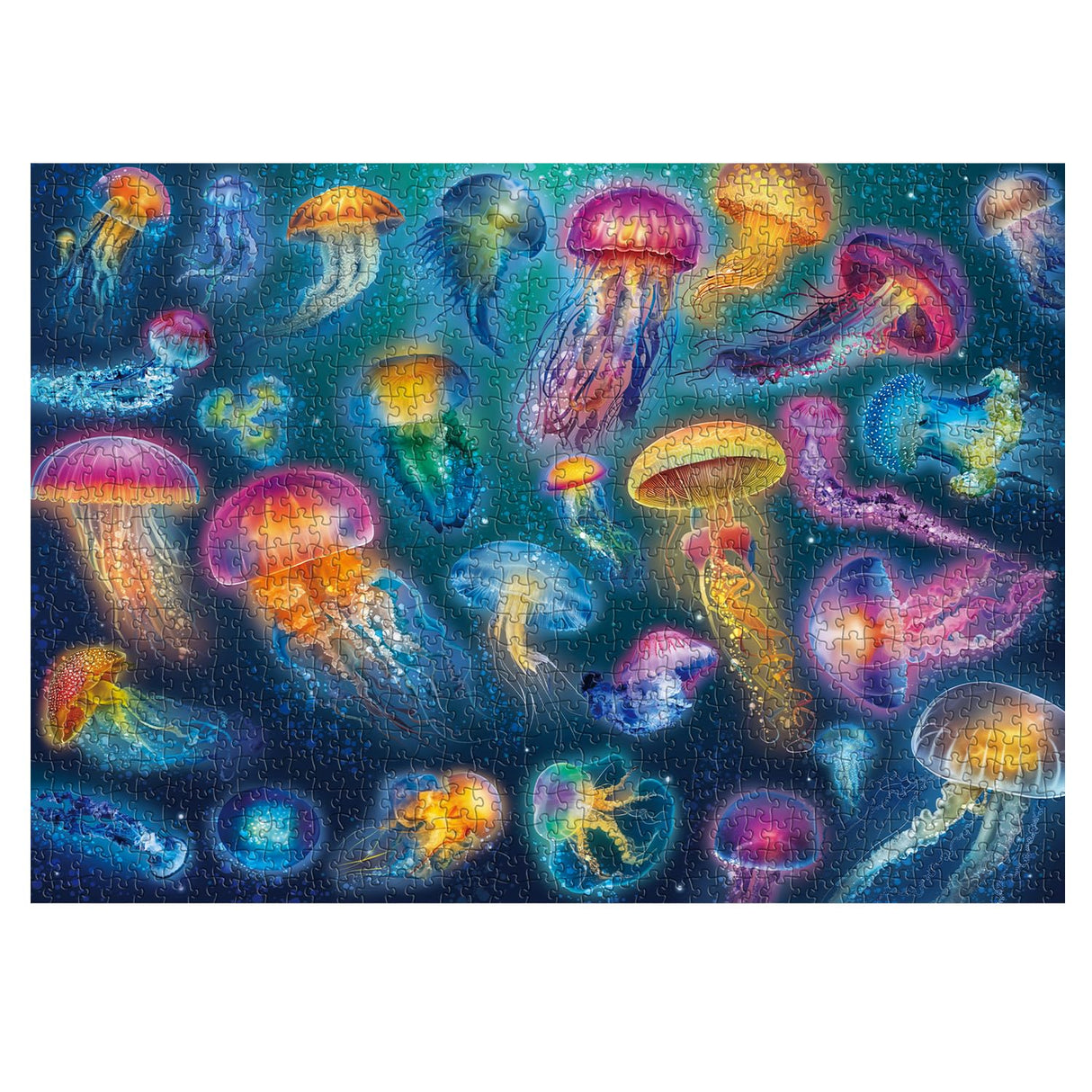 Magical Jellyfish Puzzle 1000 Piece Puzzles for Adults Colorful Jellyfish Jigsaw Puzzles Amazing Medusa Puzzle Rainbow Glowing Challenging Puzzles BBOLDIN