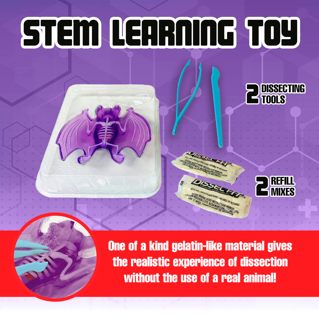 Dissect-It Simulated Synthetic Lab Dissection Toy, STEM Projects for Kids, Animal Science, Biology, and Anatomy Home Learning Kit, Bat Dissect It