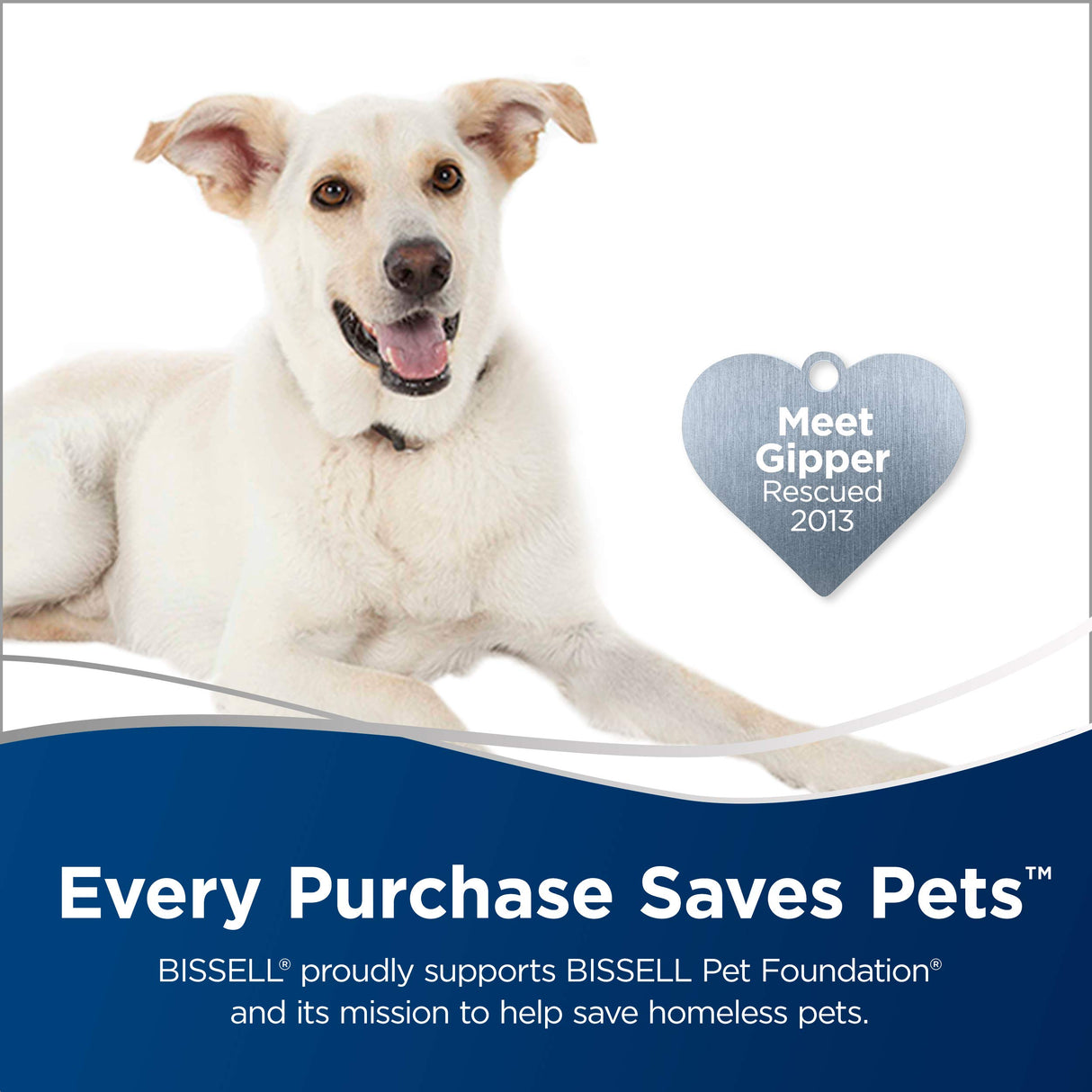 Bissell 28806 Perfect Sweep Turbo, Grey Bissell