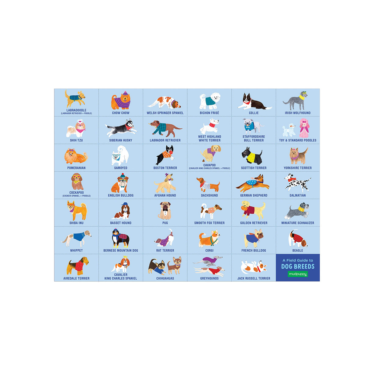 Mudpuppy Doggie Days — 64 Piece Search & Find Puzzle Jigsaw Puzzle Featuring A Variety of Dogs and Puppies and Over 40 Hidden Images to Find for Ages 4+ Mudpuppy