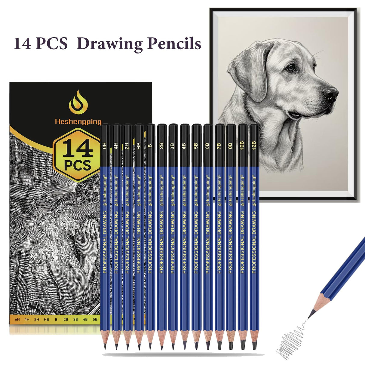 Daerthotk Pencils Drawing Sketching Set 14 pcs Graphite (12B - 6H) Kit Soft Pencils Ideal Gift for Drawing Art, Sketching, Shading, Artist Pencils for Beginners Pro Artists Daerthotk