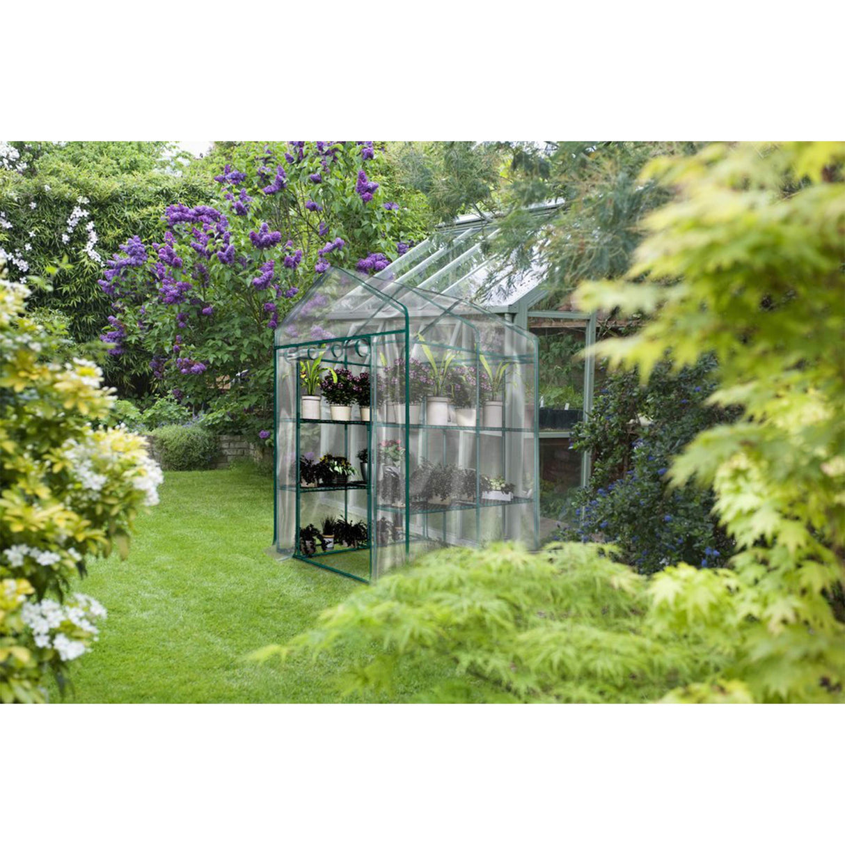 Greenhouse - Walk in Greenhouse with 8 Sturdy Shelves and PVC Cover for Indoor or Outdoor Use - 56 x 56 x 76-Inch Green House by Home-Complete Home-Complete